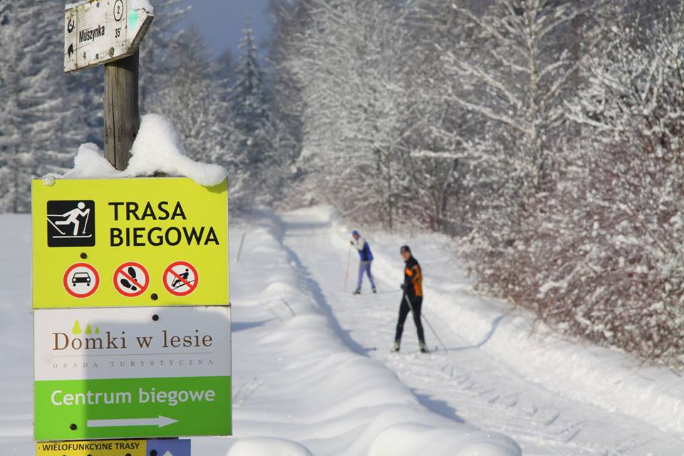 Trasa narciarstwa biegowego w Tyliczu otwarta od soboty