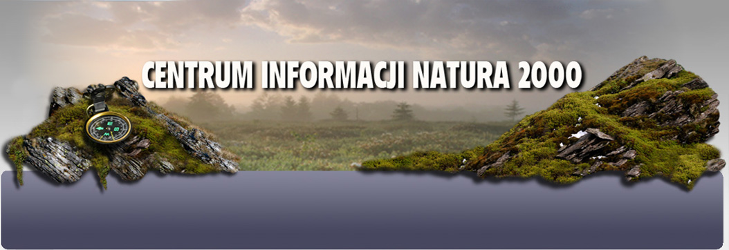 Centrum Informacji Natura 2000