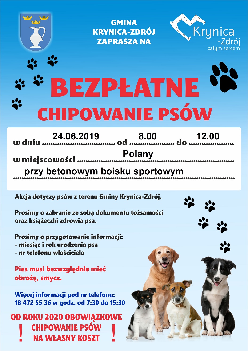 Bezpłatne chipowanie psów w Polanach