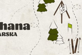 Gymkhana narciarska
