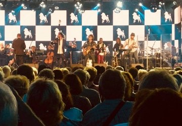 Różne odcienie festiwalu. Od requiem do Pudelsów
