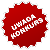 Otwarty nabór partnera do wspólnej realizacji projektu