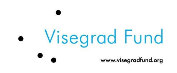 Małe granty Międzynarodowego Funduszu Wyszehradzkiego