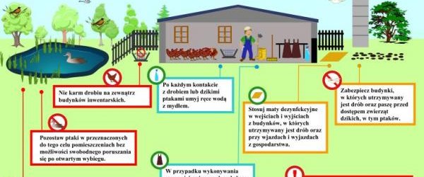 Informacja Powiatowego Lekarza Weterynarii o wystąpieniu ogniska grypy ptaków