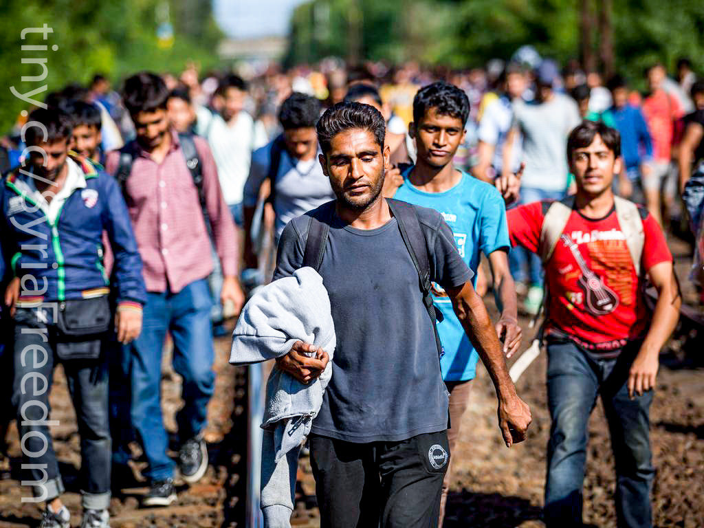 Nie ma zgody Burmistrza Krynicy-Zdroju na przyjęcie imigrantów!