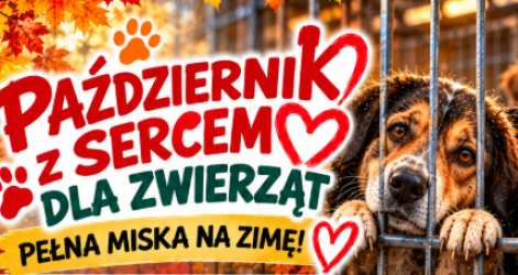 PAŹDZIERNIK Z SERCEM DLA ZWIERZĄT