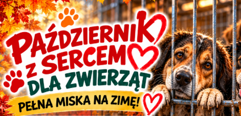 PAŹDZIERNIK Z SERCEM DLA ZWIERZĄT
