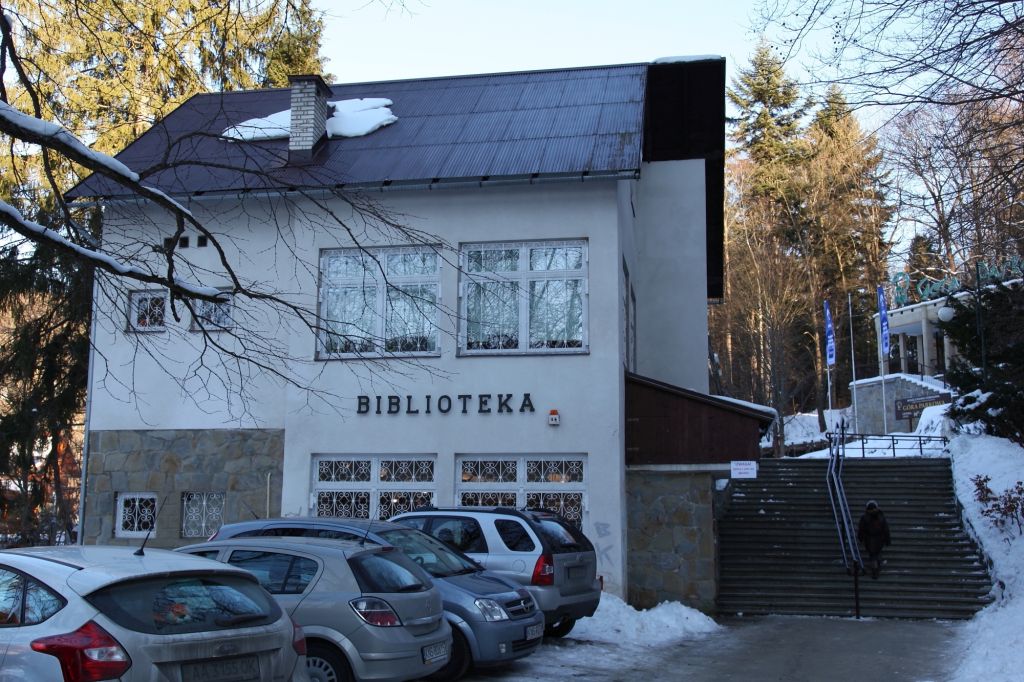 Biblioteka / układ krążenia