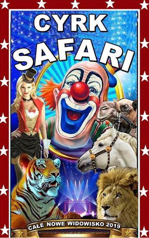 Cyrk Safari