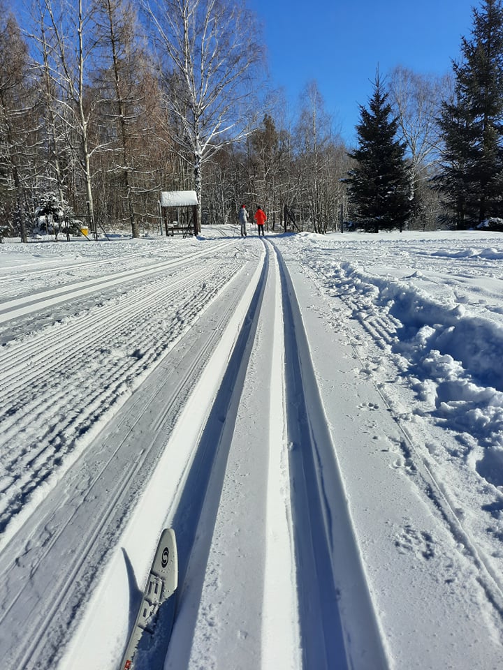 Trasy narciarstwa biegowego
