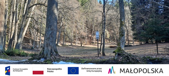 Rozwój Parku Zdrojowego w Krynicy-Zdroju poprzez zwiększenie dostępności i bioróżnorodności