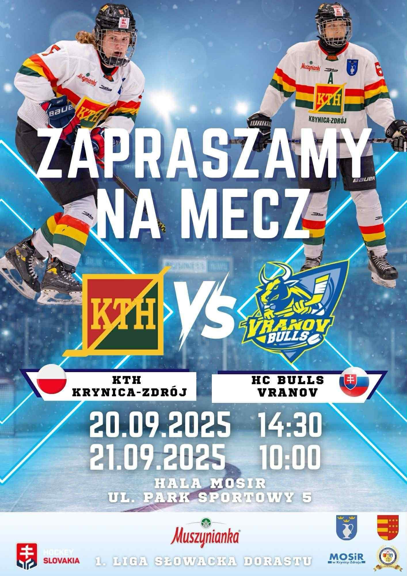 Mecz hokejowy
