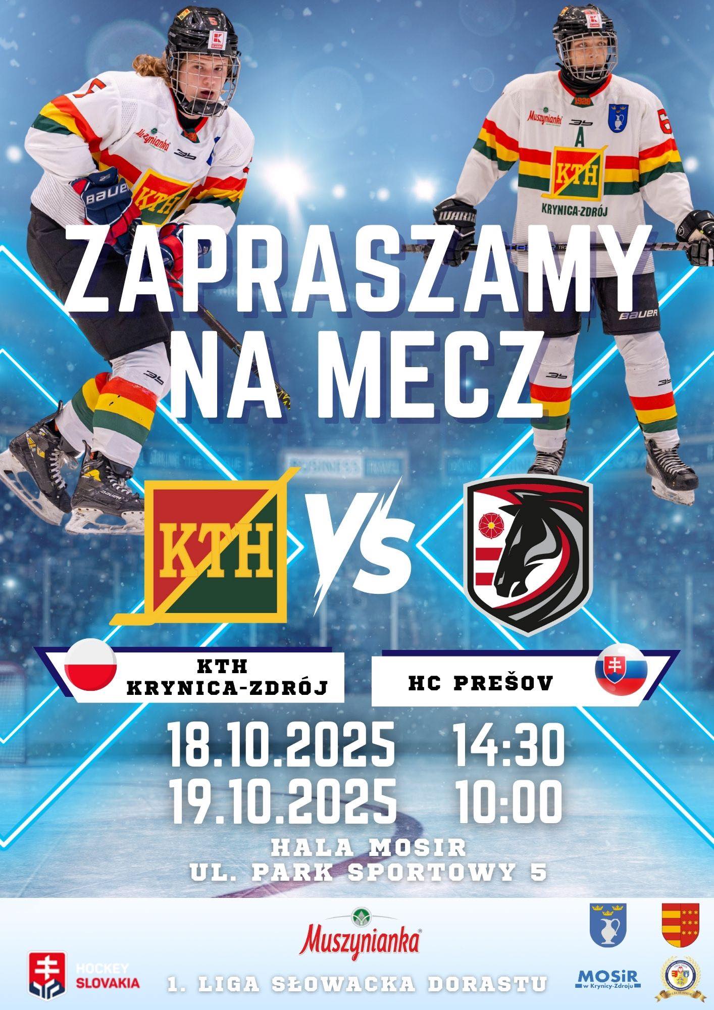 Mecz hokejowy